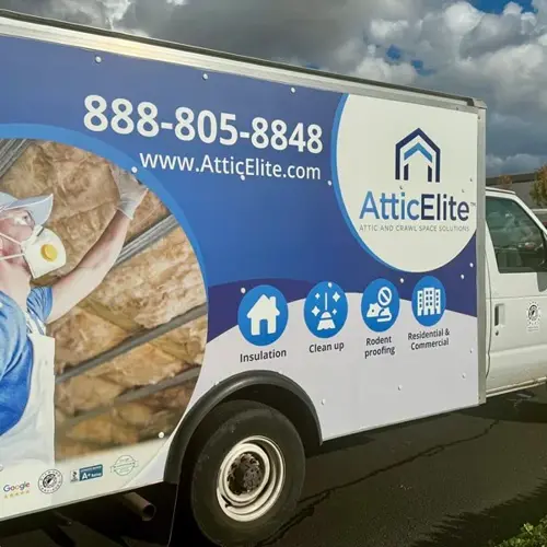 Vehicle Graphics